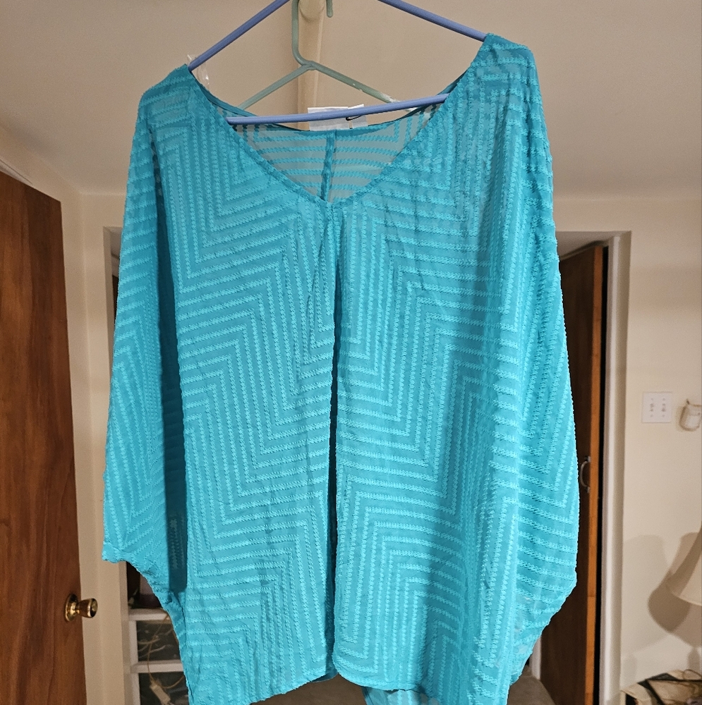 Vibrant Teal Sheer Blouse